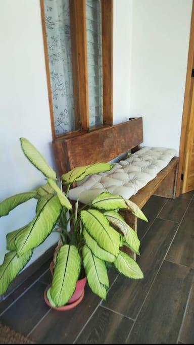 Casa Paraiso Manzanillo  Luaran gambar