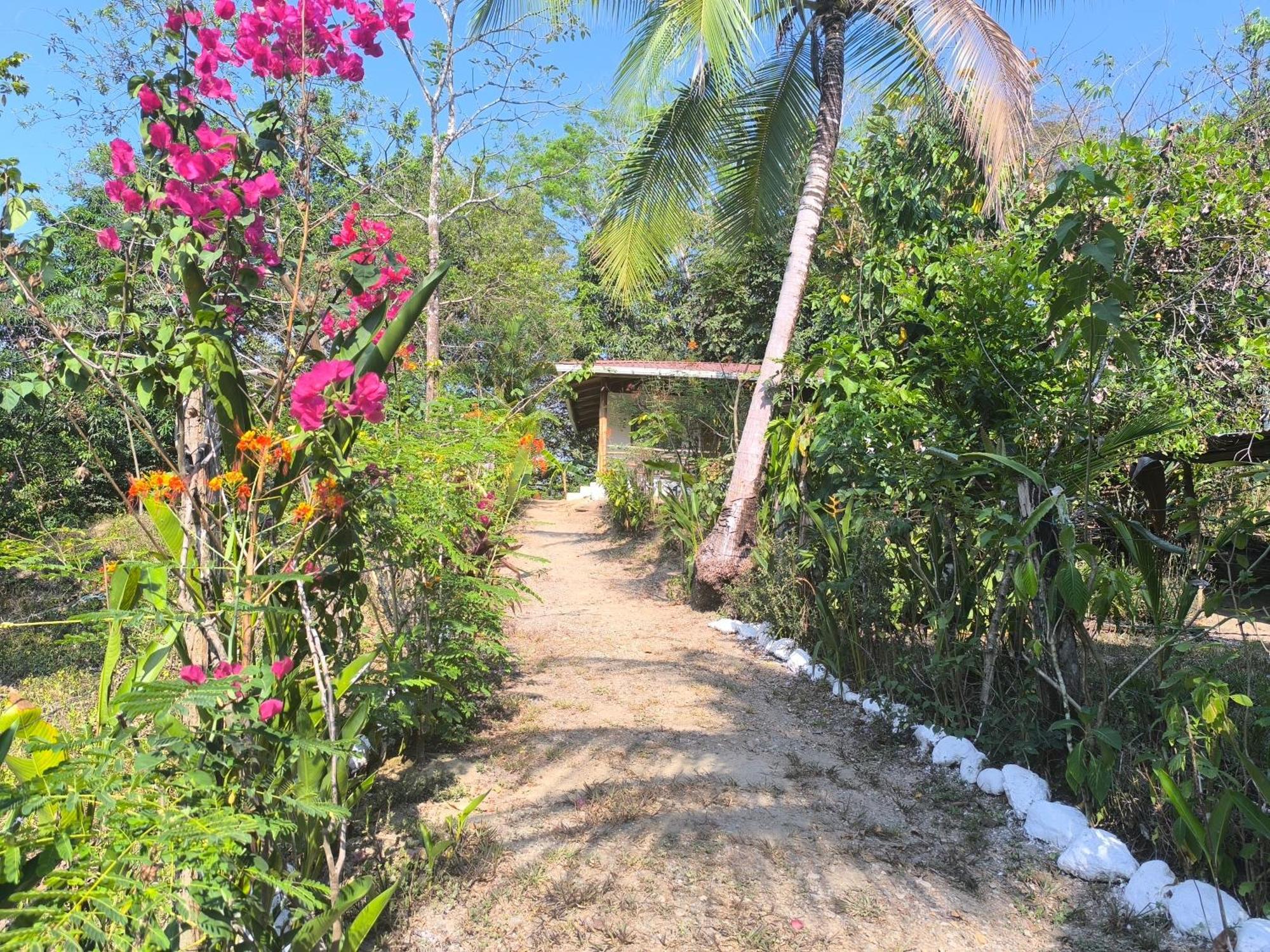Casa Paraiso Manzanillo  Luaran gambar